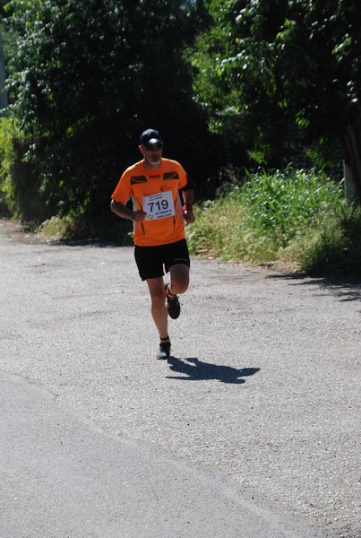 Maratonina di Villa Adriana (26/05/2024) 0039