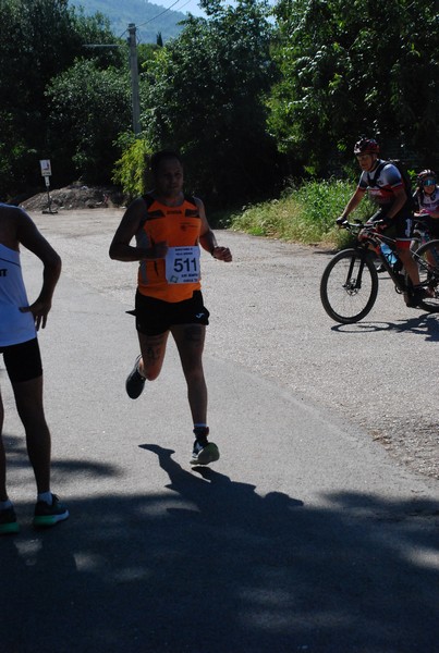 Maratonina di Villa Adriana (26/05/2024) 0042