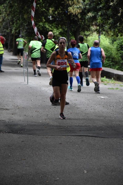 Trofeo di San Pancrazio (11/05/2025) 0009