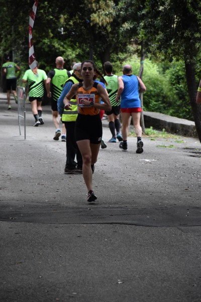 Trofeo di San Pancrazio (11/05/2025) 0010