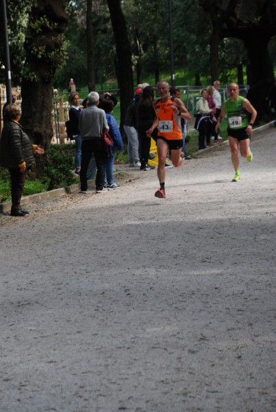 Giro delle Ville Tuscolane (27/04/2025) 0020