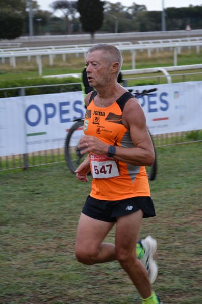 Cardio Race [TOP] (05/10/2025) 0051