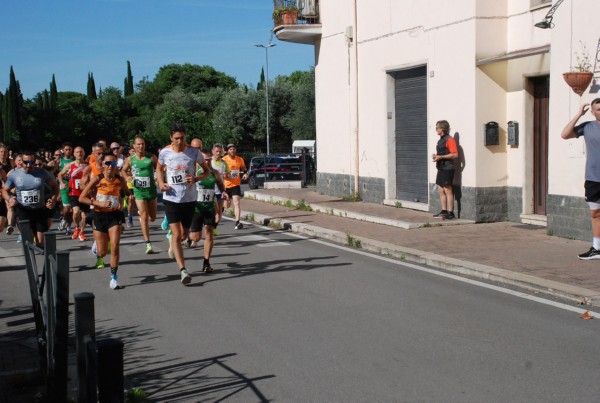 Maratonina di Villa Adriana (25/05/2025) 0007