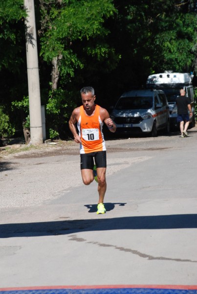 Maratonina di Villa Adriana (25/05/2025) 0072