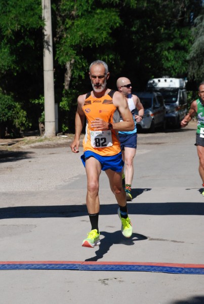 Maratonina di Villa Adriana (25/05/2025) 0115