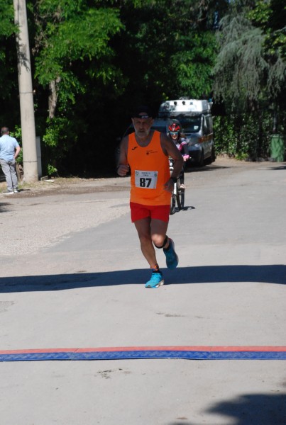 Maratonina di Villa Adriana (25/05/2025) 0123