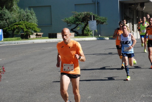 Maratonina di San Luigi (01/06/2025) 0005
